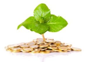12555048 - coins and plant, isolated over white background